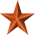 Bronze Star